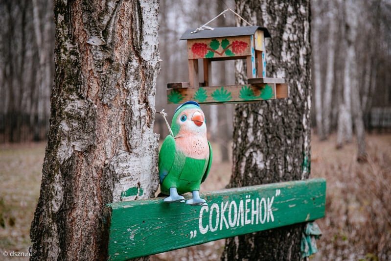 Как в центре «Соколенок» поддерживают приемные семьи детей с ВИЧ