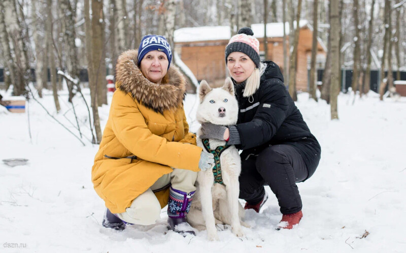 Жители социальных домов работают помощниками кинологов