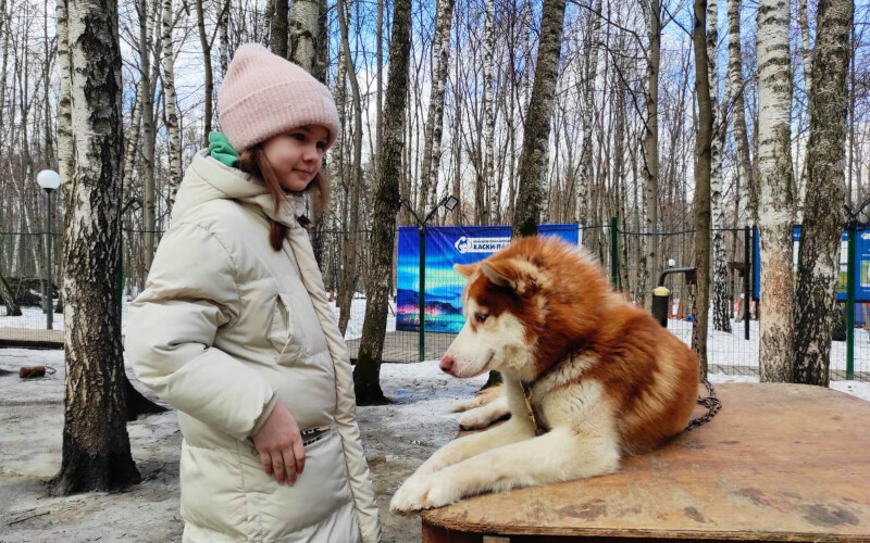 В гости к хаски: проект «Давай ДруЖИТЬ!» помог подопечной семейного центра исполнить мечту